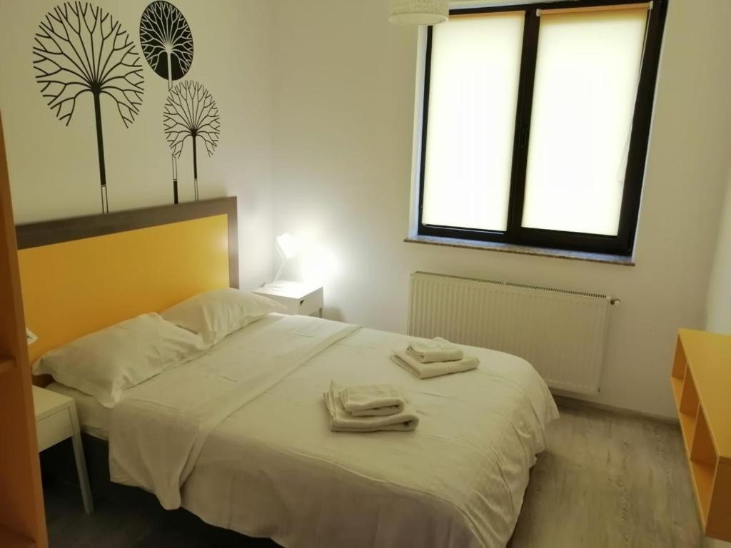 Cozy Accommodation Central City - Ιάσιο Εξωτερικό φωτογραφία