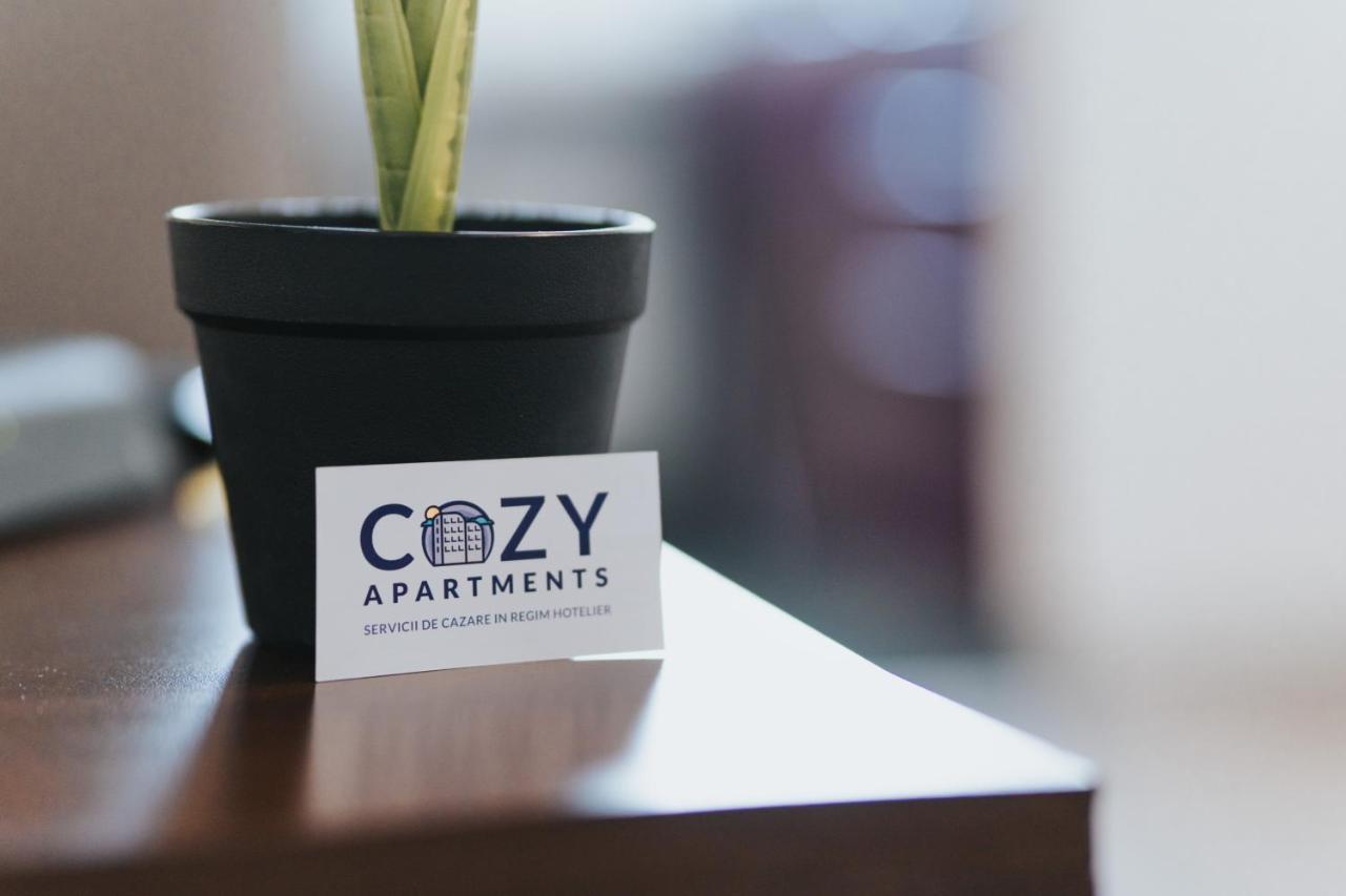 Cozy Accommodation Central City - Ιάσιο Εξωτερικό φωτογραφία